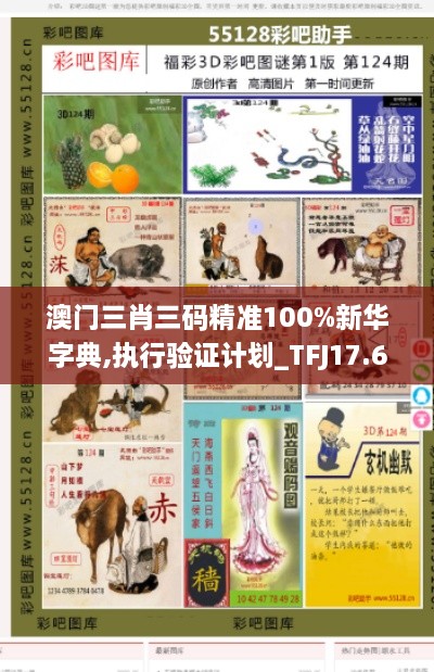 澳门三肖三码精准100%新华字典,执行验证计划_TFJ17.66