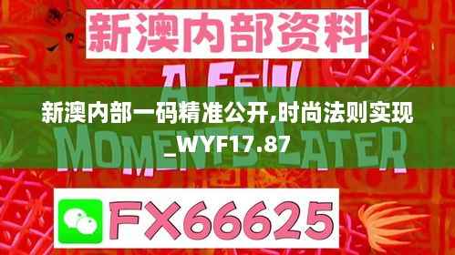 新澳内部一码精准公开,时尚法则实现_WYF17.87