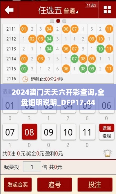 2024澳门天天六开彩查询,全盘细明说明_DFP17.44