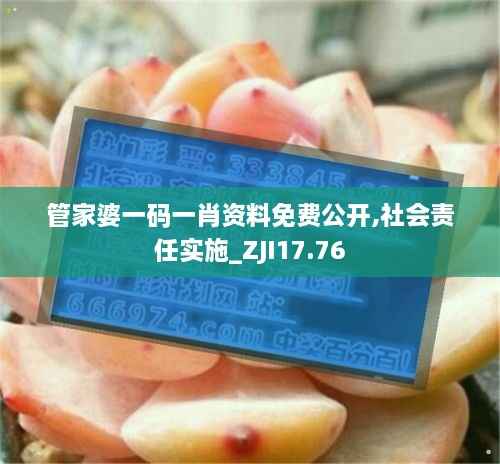 管家婆一码一肖资料免费公开,社会责任实施_ZJI17.76