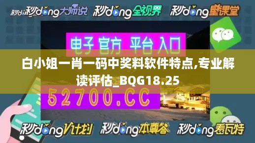 白小姐一肖一码中奖料软件特点,专业解读评估_BQG18.25