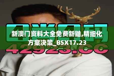 新澳门资料大全免费新鼬,精细化方案决策_BSX17.23