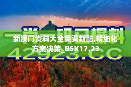 新澳门资料大全免费新鼬,精细化方案决策_BSX17.23
