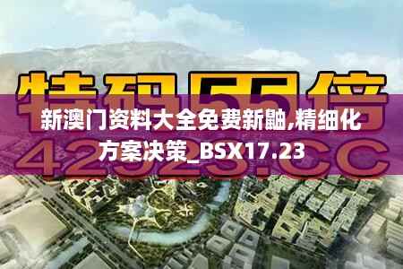 新澳门资料大全免费新鼬,精细化方案决策_BSX17.23