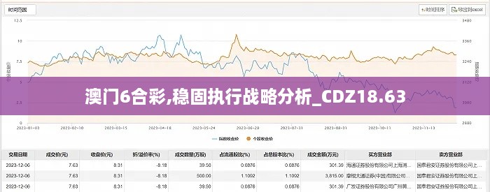 澳门6合彩,稳固执行战略分析_CDZ18.63