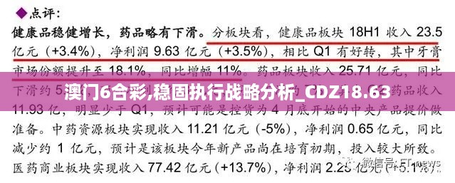 澳门6合彩,稳固执行战略分析_CDZ18.63