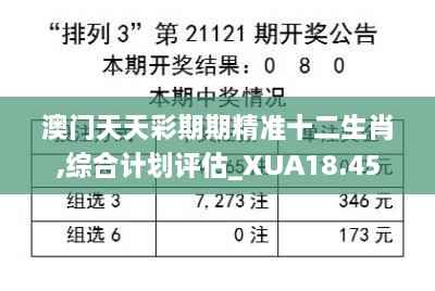 澳门天天彩期期精准十二生肖,综合计划评估_XUA18.45