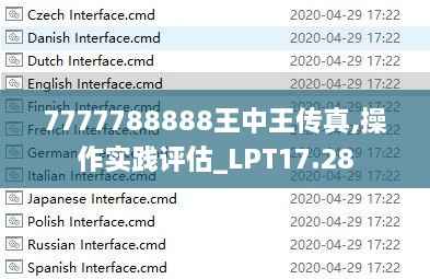 7777788888王中王传真,操作实践评估_LPT17.28