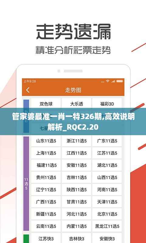 管家婆最准一肖一特326期,高效说明解析_RQC2.20