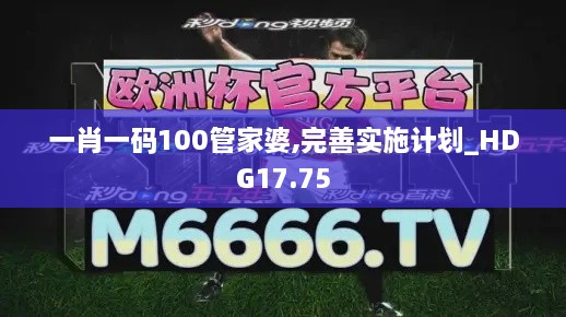 一肖一码100管家婆,完善实施计划_HDG17.75