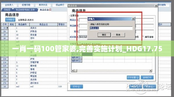 一肖一码100管家婆,完善实施计划_HDG17.75