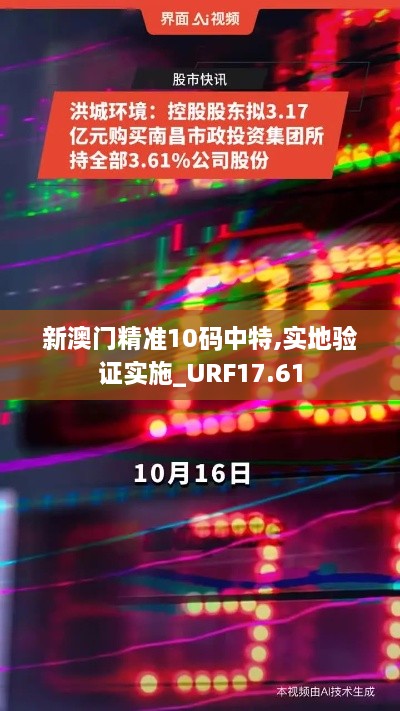 新澳门精准10码中特,实地验证实施_URF17.61