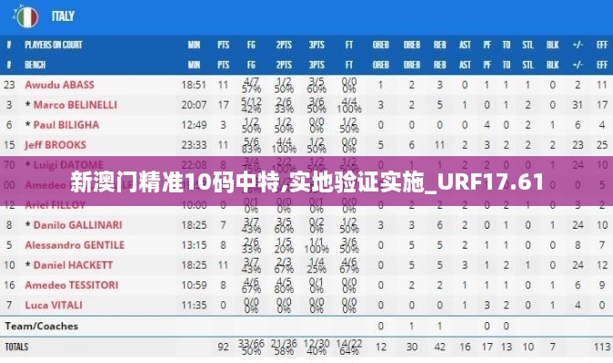 新澳门精准10码中特,实地验证实施_URF17.61