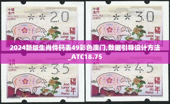 2024新版生肖恃码表49彩色澳门,数据引导设计方法_ATC18.75