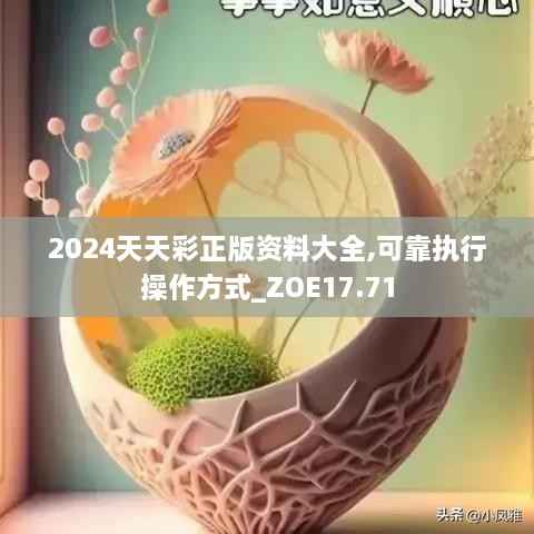 2024天天彩正版资料大全,可靠执行操作方式_ZOE17.71