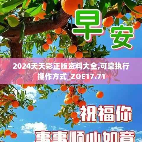 2024天天彩正版资料大全,可靠执行操作方式_ZOE17.71