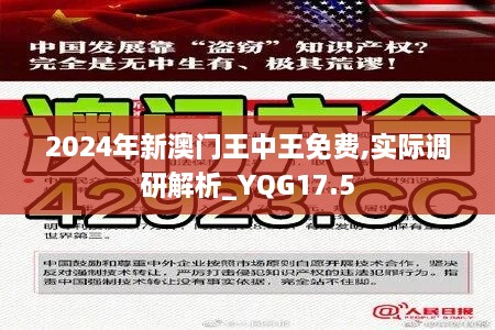 2024年新澳门王中王免费,实际调研解析_YQG17.5