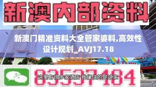 新澳门精准资料大全管家婆料,高效性设计规划_AVJ17.18