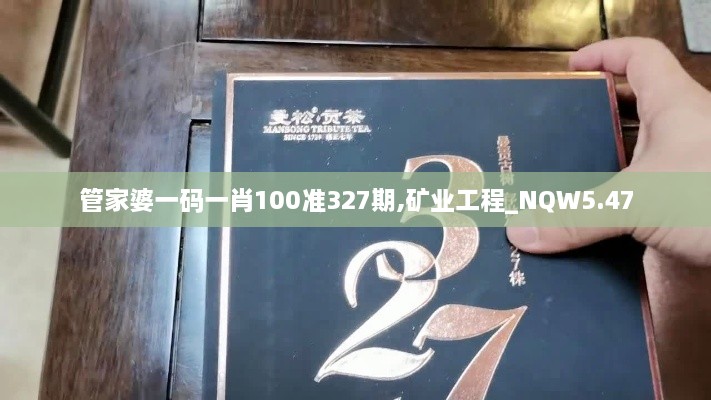 管家婆一码一肖100准327期,矿业工程_NQW5.47