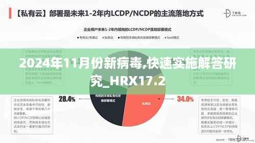 2024年11月份新病毒,快速实施解答研究_HRX17.2