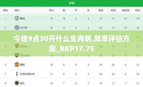 今晚9点30开什么生肖明,效率评估方案_BKP17.75