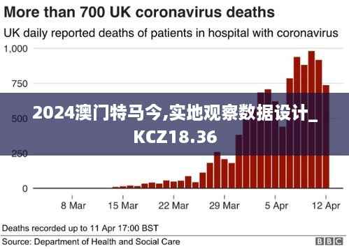 2024澳门特马今,实地观察数据设计_KCZ18.36