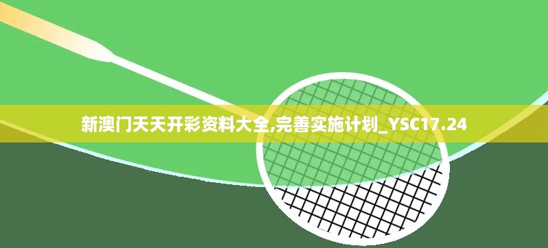新澳门天天开彩资料大全,完善实施计划_YSC17.24