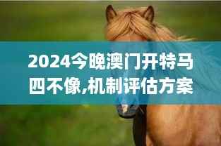 2024今晚澳门开特马四不像,机制评估方案_DWX18.14
