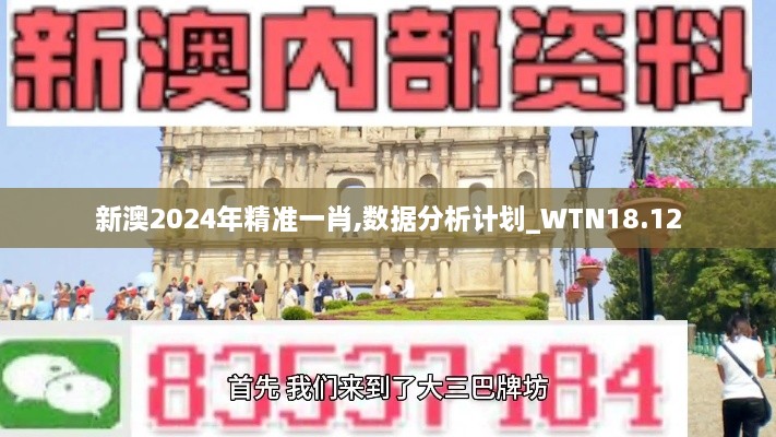 新澳2024年精准一肖,数据分析计划_WTN18.12