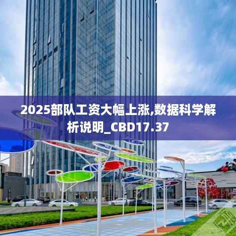 2025部队工资大幅上涨,数据科学解析说明_CBD17.37
