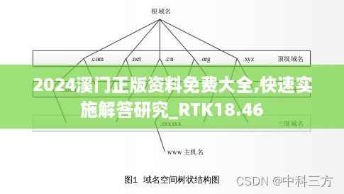 2024溪门正版资料免费大全,快速实施解答研究_RTK18.46