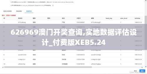 626969澳门开奖查询,实地数据评估设计_付费版XEB5.24
