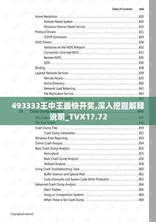 493333王中王最快开奖,深入挖掘解释说明_TVX17.72