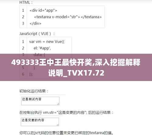 493333王中王最快开奖,深入挖掘解释说明_TVX17.72