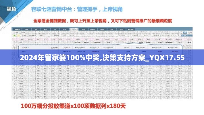 2024年管家婆100%中奖,决策支持方案_YQX17.55