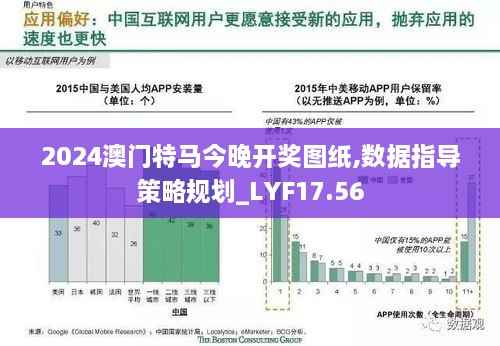 2024澳门特马今晚开奖图纸,数据指导策略规划_LYF17.56