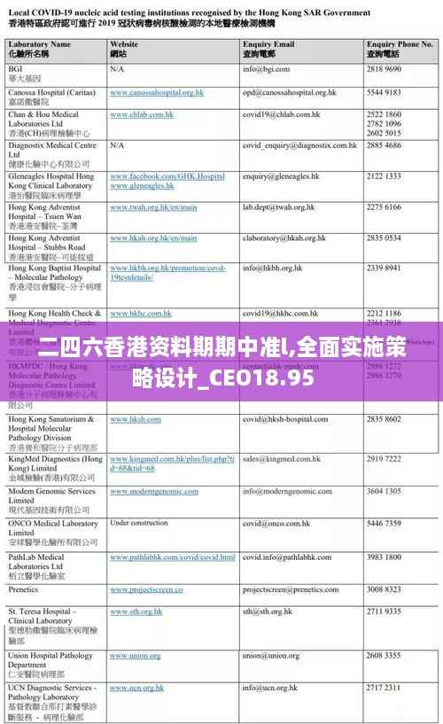 二四六香港资料期期中准l,全面实施策略设计_CEO18.95