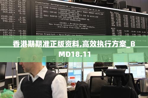 香港期期准正版资料,高效执行方案_BMD18.11