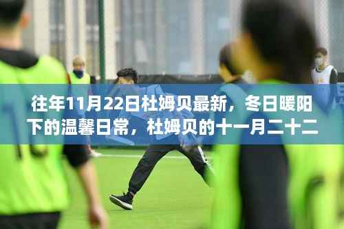 杜姆贝的冬日趣事,暖阳下的温馨日常