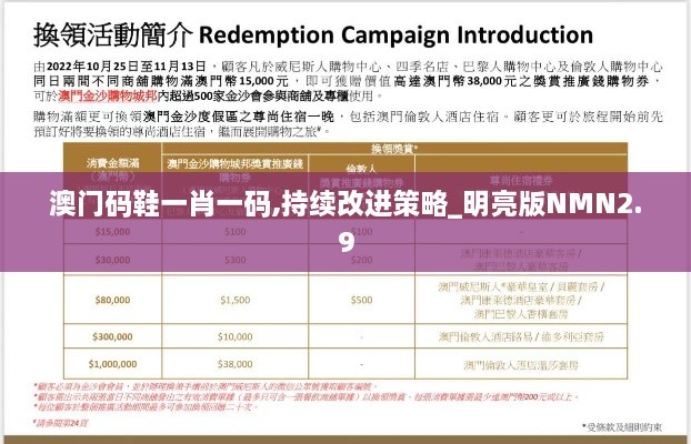 澳门码鞋一肖一码,持续改进策略_明亮版NMN2.9