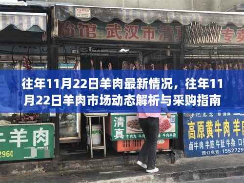 往年11月22日羊肉市场深度解析,最新动态与采购指南