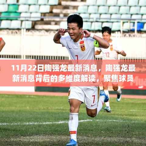 陶强龙最新动态，聚焦球员成长与公众关注的多维度解读（11月22日更新）