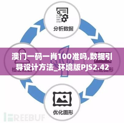 澳门一码一肖100准吗,数据引导设计方法_环境版PJS2.42