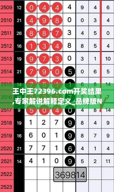 王中王72396.cσm开奖结果,专家解说解释定义_品牌版NTB2.69