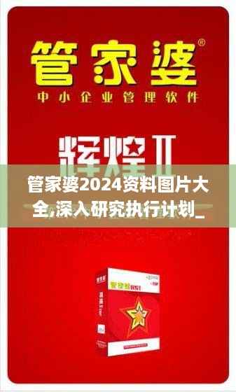 管家婆2024资料图片大全,深入研究执行计划_效率版BJV2.86