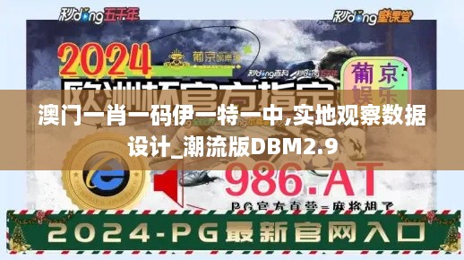 澳门一肖一码伊一特一中,实地观察数据设计_潮流版DBM2.9