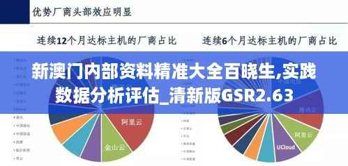 新澳门内部资料精准大全百晓生,实践数据分析评估_清新版GSR2.63