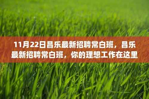 昌乐常白班招聘启事,理想工作等你来!