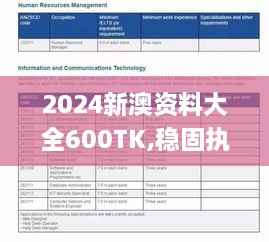 2024新澳资料大全600TK,稳固执行方案计划_高效版WBL2.45