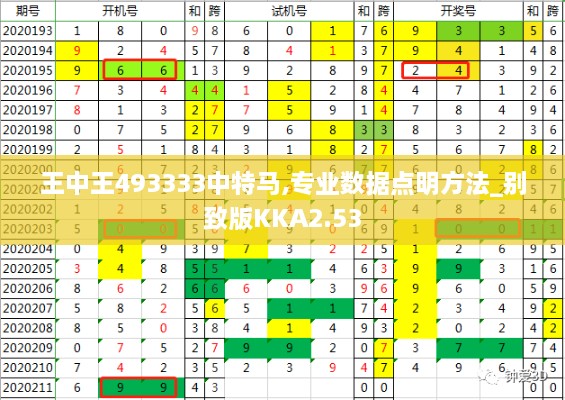 王中王493333中特马,专业数据点明方法_别致版KKA2.53